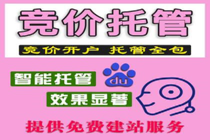 百度竞价包年全解析：成功案例分享